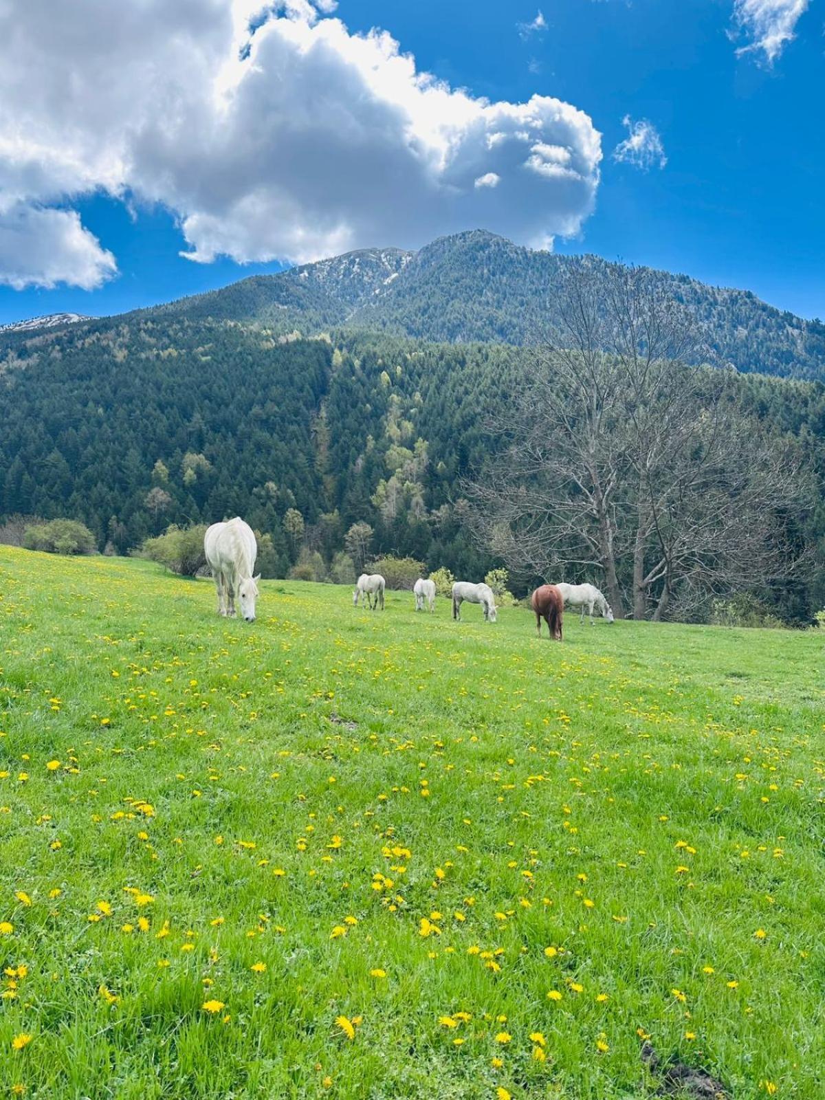Hotel Valls Valira Ос-де-Сивис Экстерьер фото